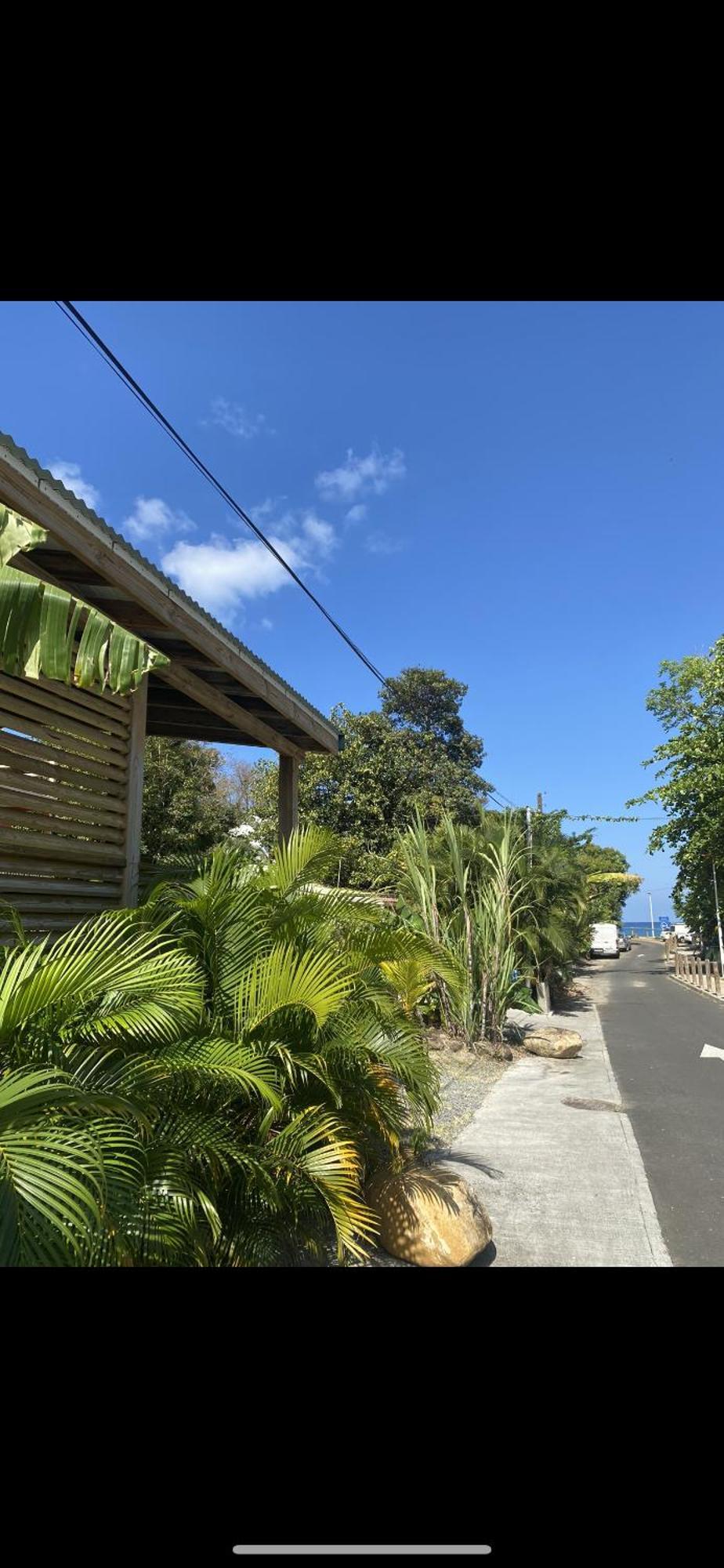 Charmant Bungalow Tout Confort Climatise - Terrasse Et Acces Plage ! Deshaies Eksteriør billede
